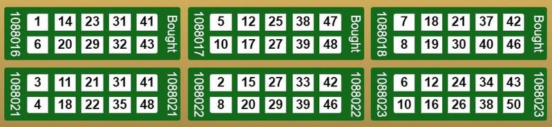 50 Ball Bingo Tickets