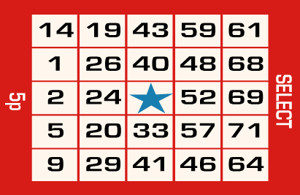 75 ball bingo ticket