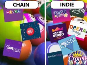 Bingo Chains vs Independent Bingo Brands