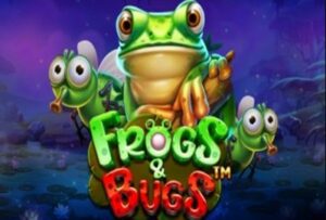 frogs and bugs