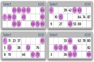 Full House Bingo Ticket