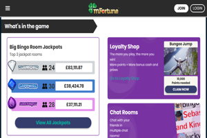 mfortune bingo homepage screenshot