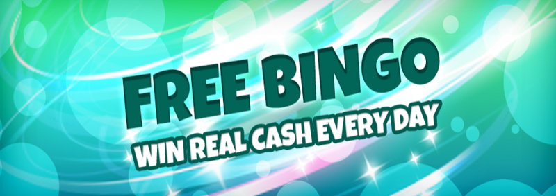 zingo bingo promo screenshot